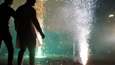 दिवाली, गुरुपर्व, क्रिसमस और नए साल पर कम प्रदूषण करने वाले पटाखों के उपयोग की होगी अनुमति: मीत हेयर