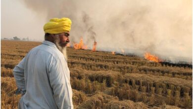 स्वास्थ्य के खतरे के बावजूद पंजाब के पटियाला में जलाई जा रही है पराली