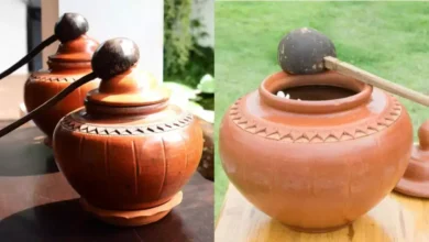 फ्रिज में ज्यादा मटके का पानी सेहत के लिए क्यों माना जाता है फायदेमंद